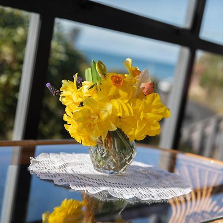 Petra Seaside Apartment Dunedin Exterior foto