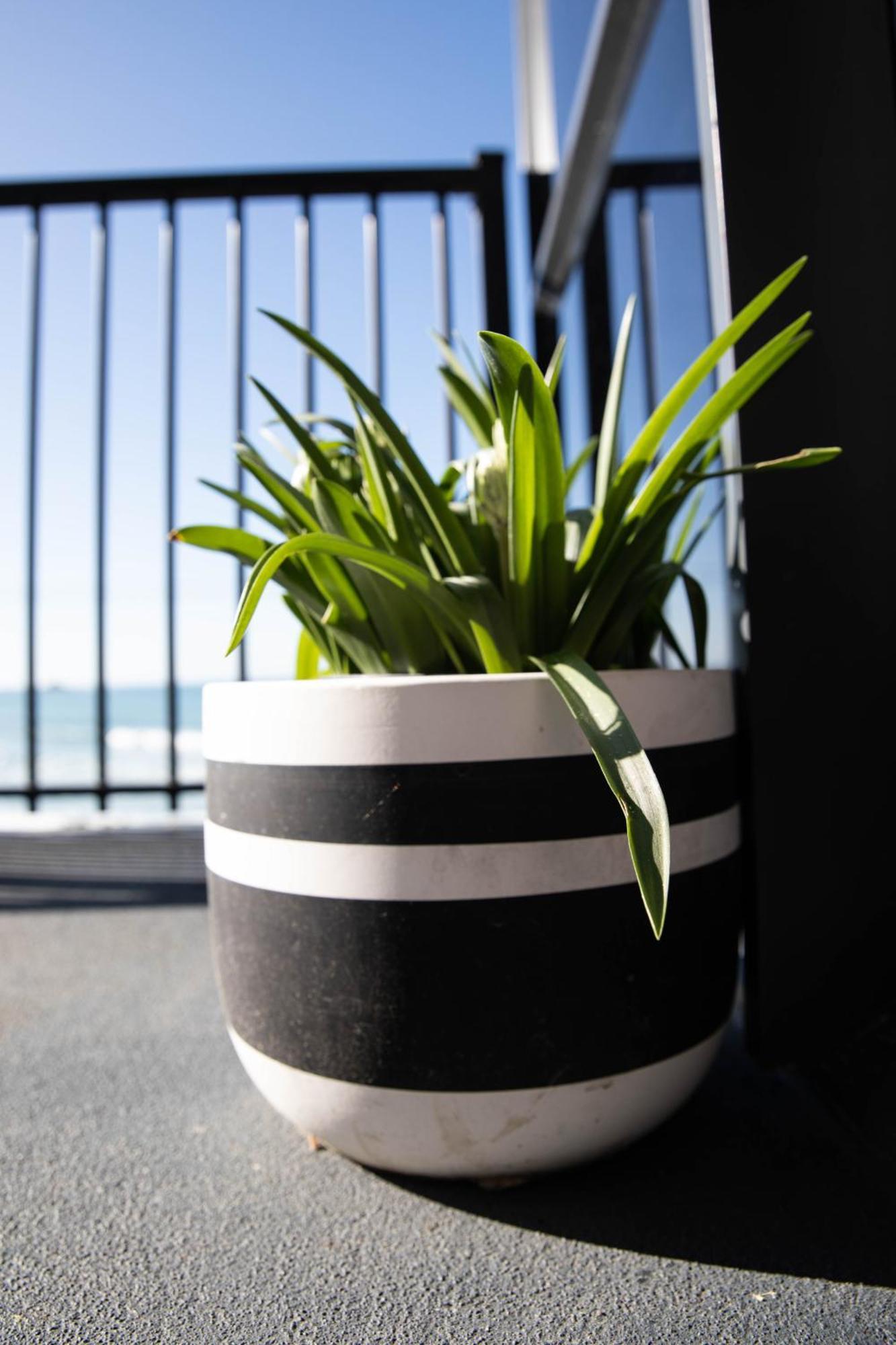 Petra Seaside Apartment Dunedin Exterior foto